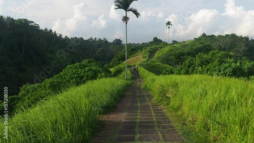 View of the Campuhan Ridge Walk