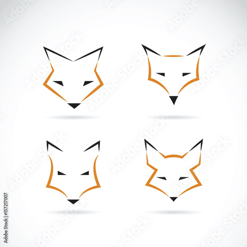 Vector of a fox face design on white background. wild Animals