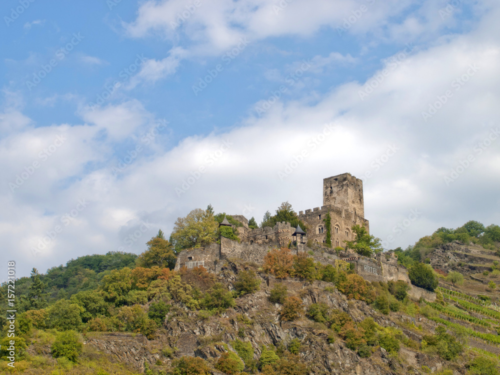 The castle of Rhine river's side at Germany