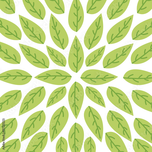 leaves organic icon vecor illustration design graphic