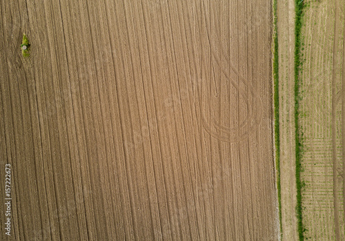 Aerial view of footpath between agricultural fields