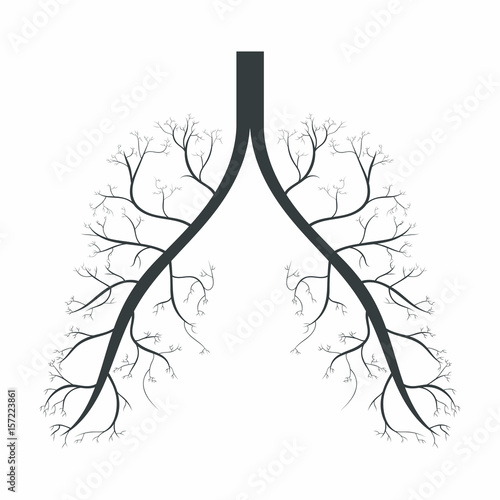 Lungs. Human lungs anatomy symbol