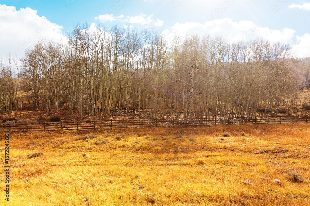 Autumn season Autumn season