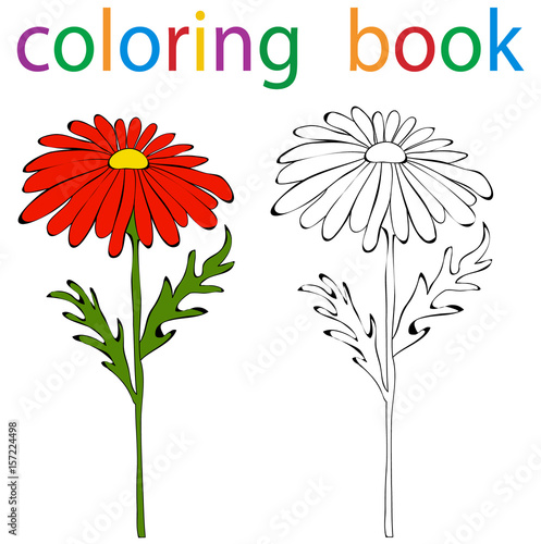 Photo book coloring gerbera flower