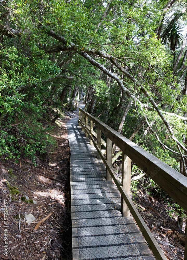 Boardwalk at Dove Lake Boardwalk at Dove Lake