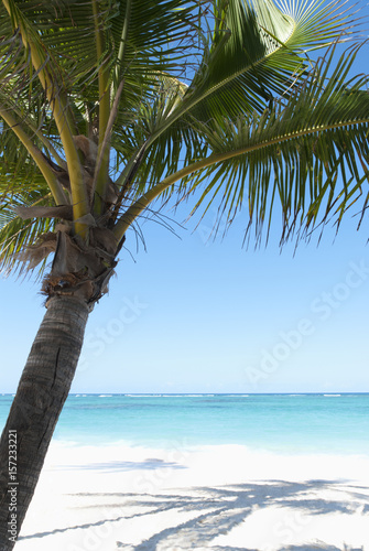 Sea landscape  Punta - Cana  Dominican Republic 