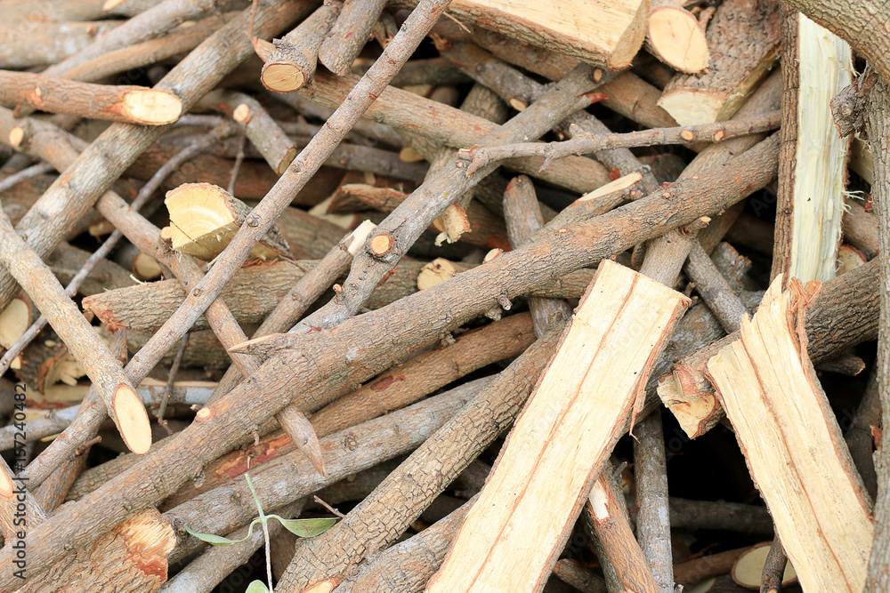 Much Plenty of firewood for the fireplace in a pile, Lumber from tamarind tree. Much Plenty of firewood for the fireplace in a pile, Lumber from tamarind tree.
