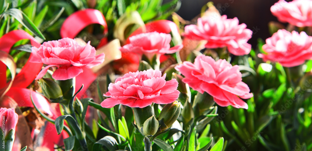 Composition with bouquet of carnations Composition with bouquet of carnations