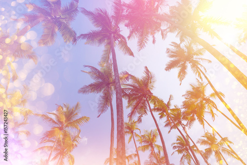Retro stylized tropical palms with light leaks and golden party glitter © nevodka.com