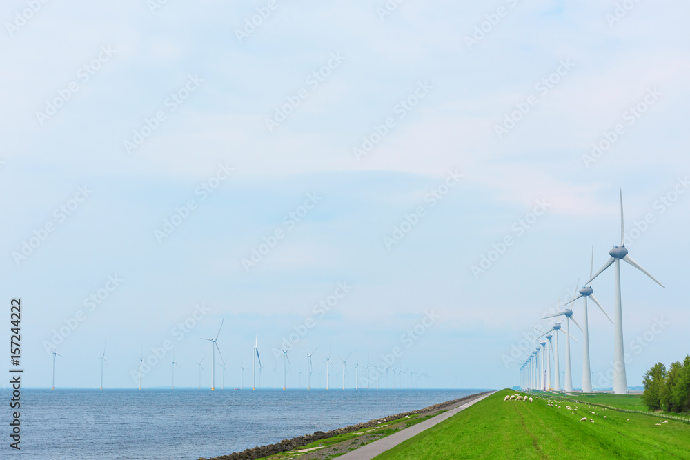 Wind farm in Netherlands