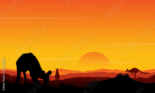 Silhouette kangaroo at sunset scenery