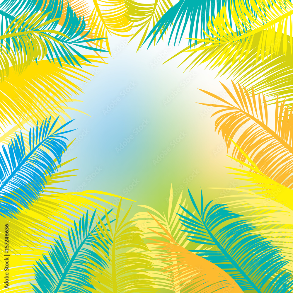 Palm leaves vector background frame. Multicolored leaves against the sky.