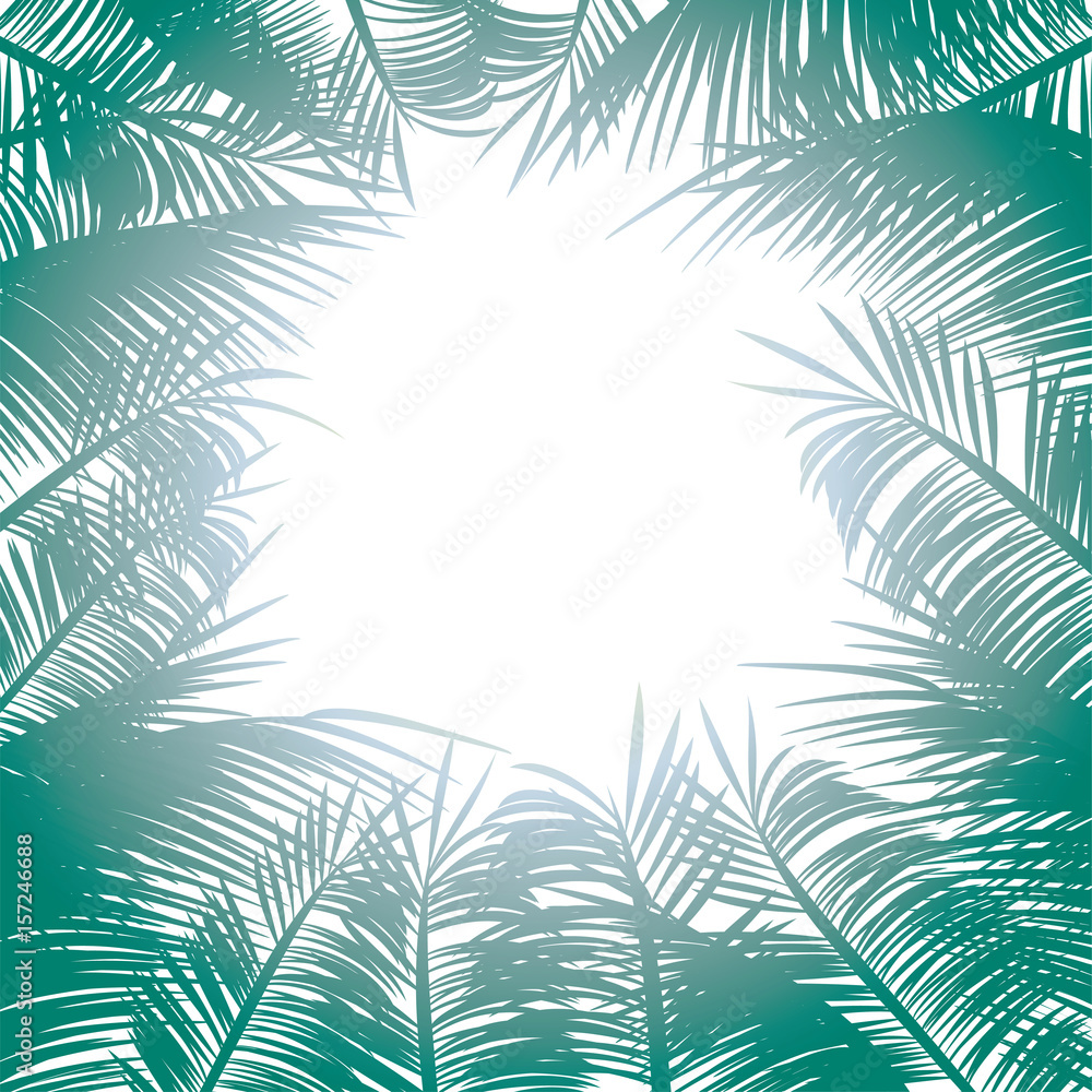 Palm leaves vector background frame Palm leaves vector background frame
