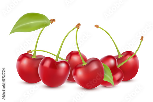 Cherry isolated on white. Sweet fruit. Realistic vector illustration