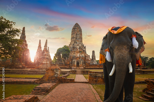  Elephant at Wat Chaiwatthanaram temple in Ayuthaya Historical Park, a UNESCO world heritage site in Thailand