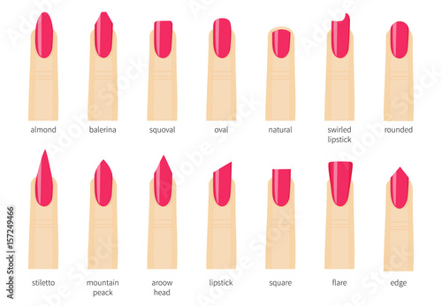 Most Popular Nail Shapes Different Kinds Stock Vector (Royalty Free)  1249553665 | Shutterstock