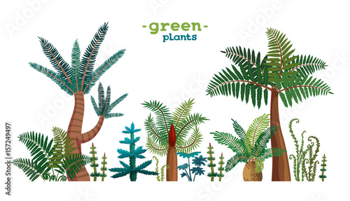 Collection of tropical plants.