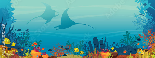 Fototapeta Naklejka Na Ścianę i Meble -  Two mantas, coral reef and fish - underwater illustration.