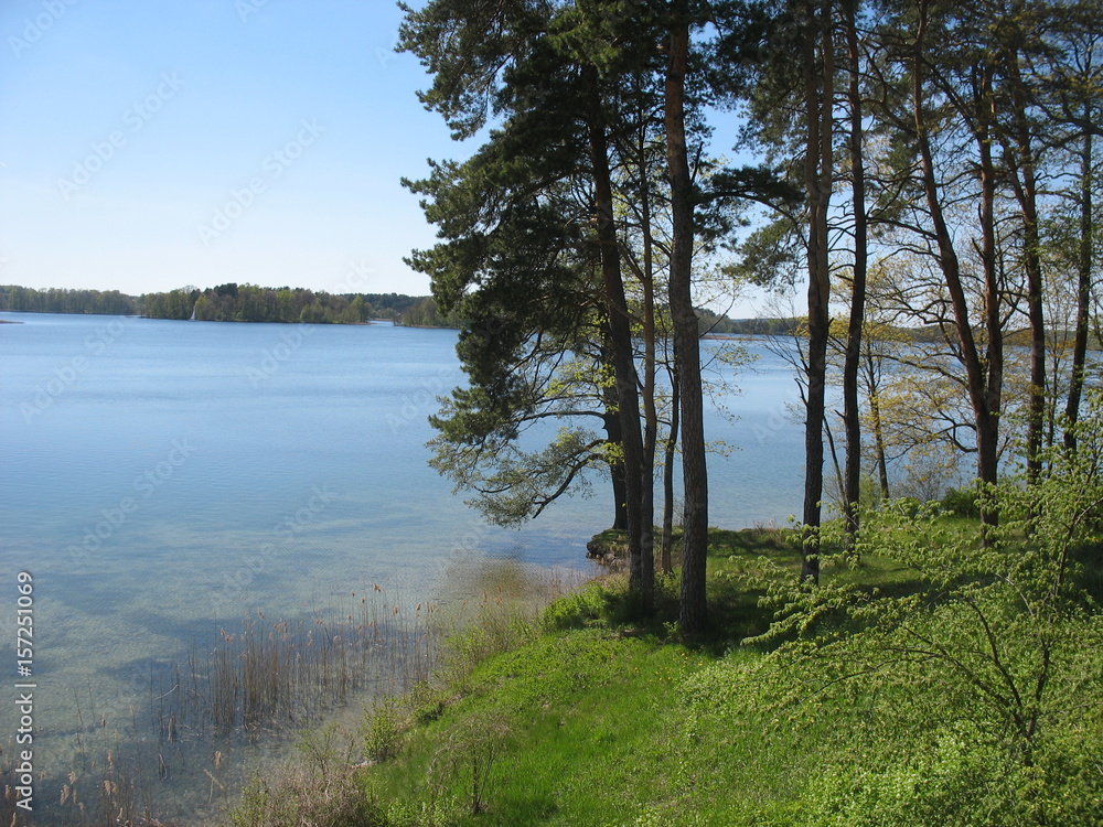 Obraz premium Летний полдень