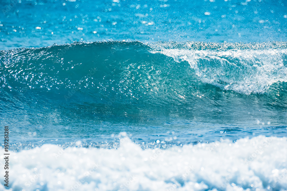 Wave in tropical ocean. Blue barrel crashing, clear water and sun light