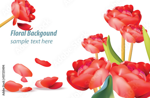 Red tulip flower background Spring season background. Vector illustration