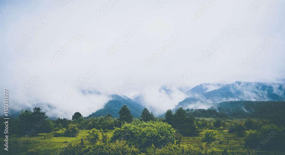 Photo depicting beautiful a foggy mystic mountains. Fog clouds at the pine tree mystical woods, morning. Europe, mysterious alps landscape.
