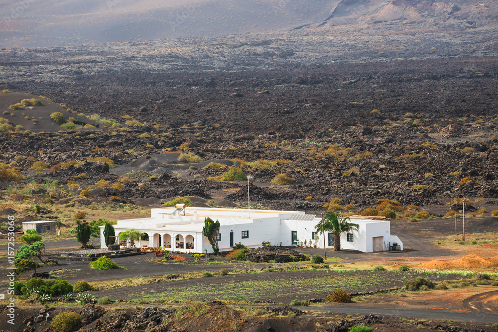 Volcanic landscape of Lanzarote, Canary Islands, Spain - obrazy, fototapety, plakaty 