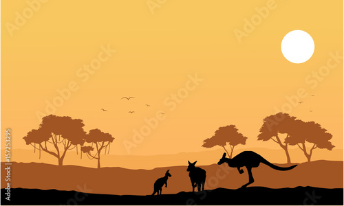 Collection kangaroo on the hill scenery