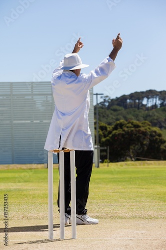 Full length of cricket umpire signalling six runs during match photo