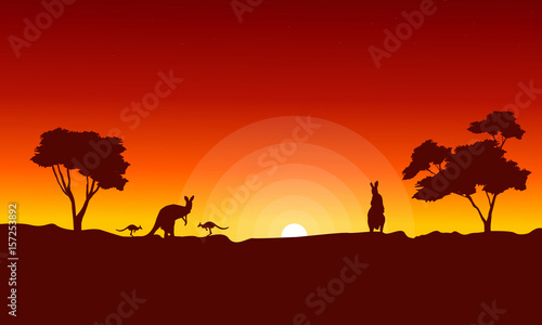 Kangaroo with red sky landscape silhouette