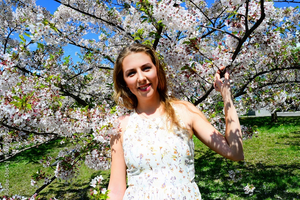 Sunny day: sakura blossom and girl posing