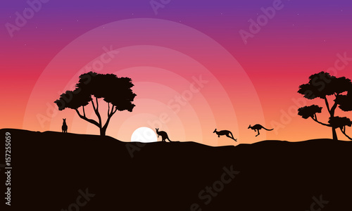 Silhouette of kangaroo at sunrise landscape