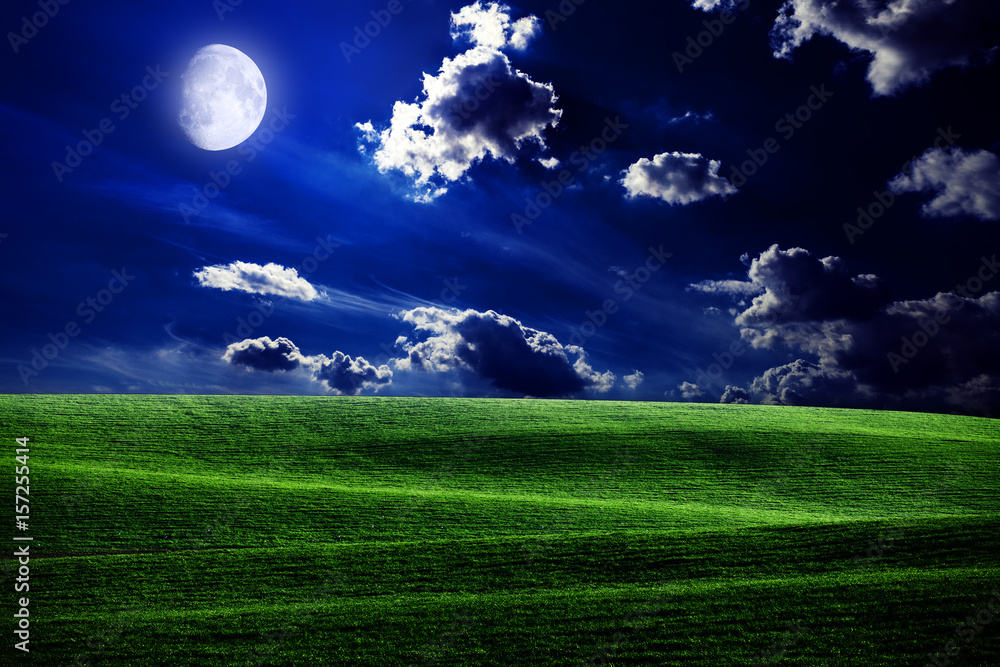 Fototapeta premium green night field. star sky