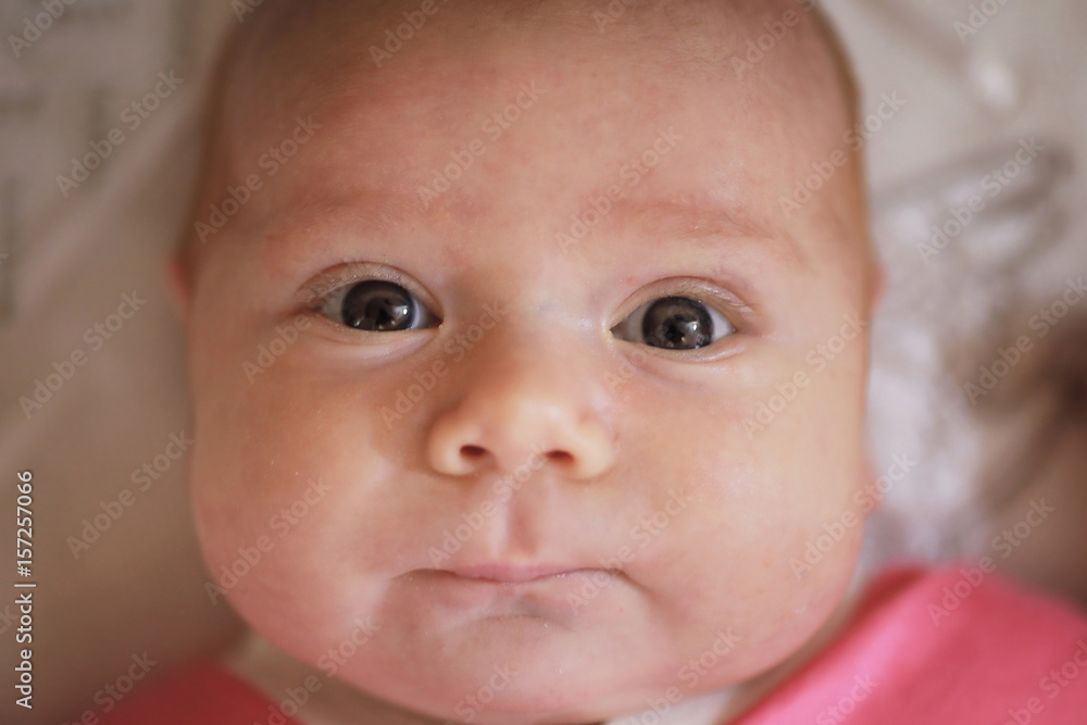 portrait of a beautiful child of the European appearance portrait of a beautiful child of the European appearance