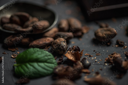 close up of cocoa beans with mint leaf on dark tabletop © LIGHTFIELD STUDIOS