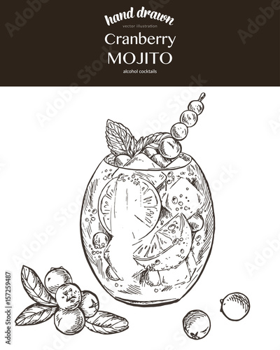Cranberry mojito. Vector sketch illustration 
