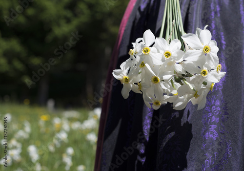 Narzissen vor Narzissenwiese und Ausseer Dirdl, daffodils
