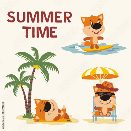 Summer time. Set happy fox resting on beach. Collection cartoon fox surfing, laying under palm tree, resting in recliner with cocktail.