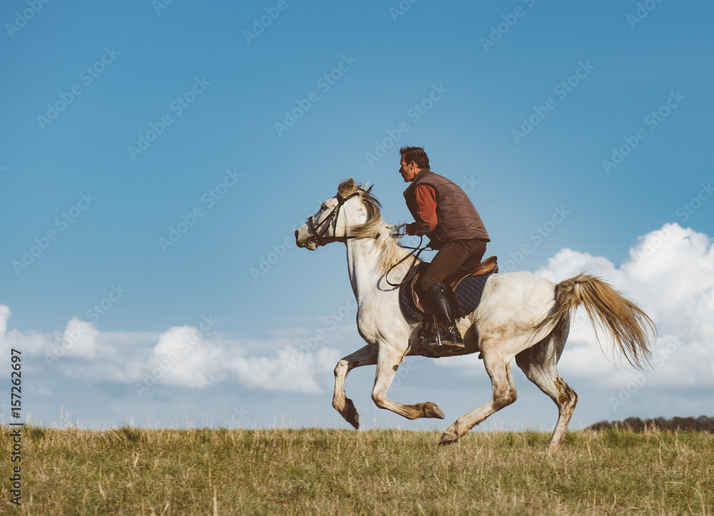 Horseback ride