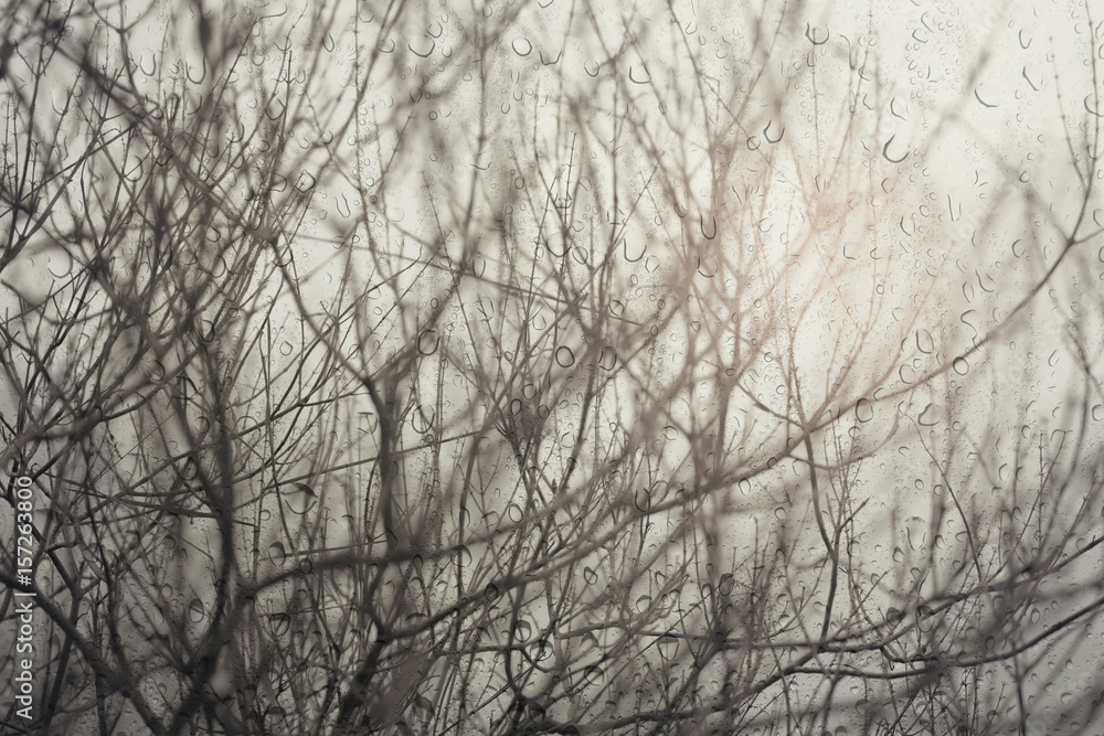 Abstract of bare branches,view through the window on rainy day.Selective focus. Abstract of bare branches,view through the window on rainy day.Selective focus.