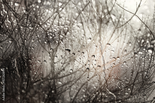 Abstract of bare branches,view through the window on rainy day.Selective focus.