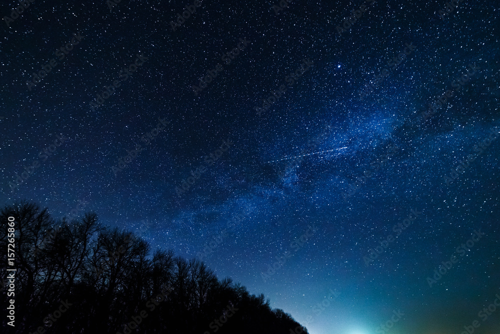 Starry sky and milky way above the trees.