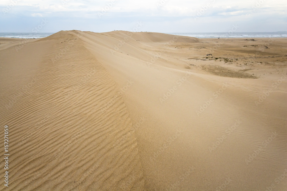 Big sand dunes in woody cape section of Addo Elephant Park