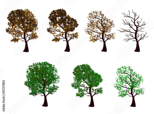 The set of trees four seasons