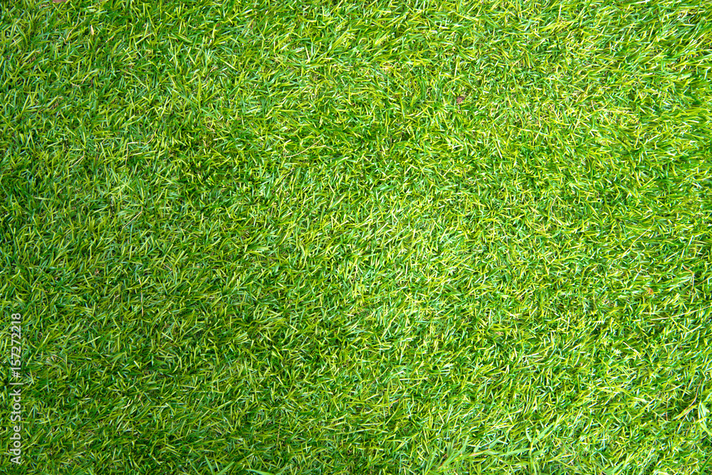 Fototapeta premium Green grass soccer field background and texture 