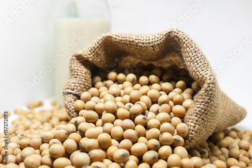 soybeans in hemp sack bag on white background.