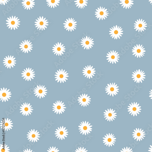 Seamless floral pattern. White daisies on a blue background.