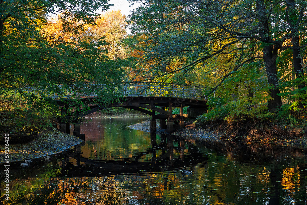 A wooden bridge over a pond in the autumn park.