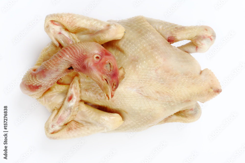fresh raw chicken isolated on white