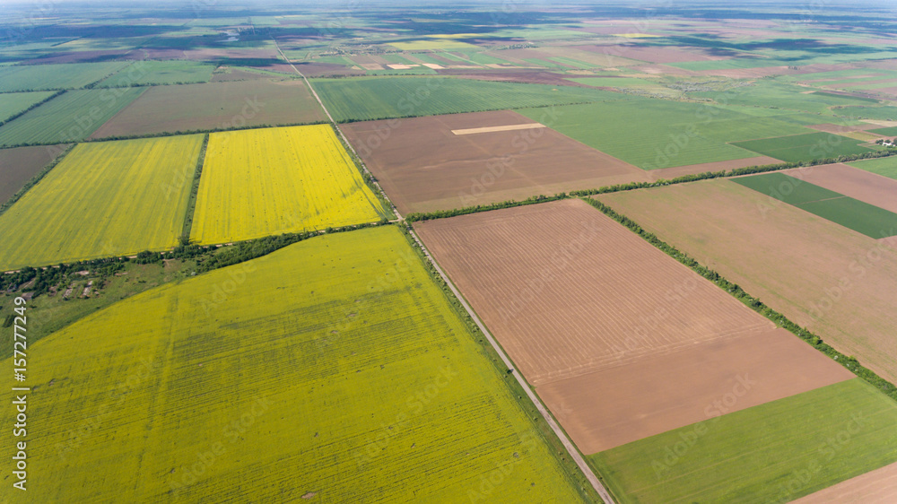 Aerial shot of agricultural fields in Ukraine and splendid landscape in late spring